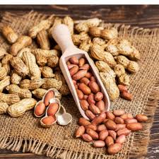 Blanched Peanuts Processed
